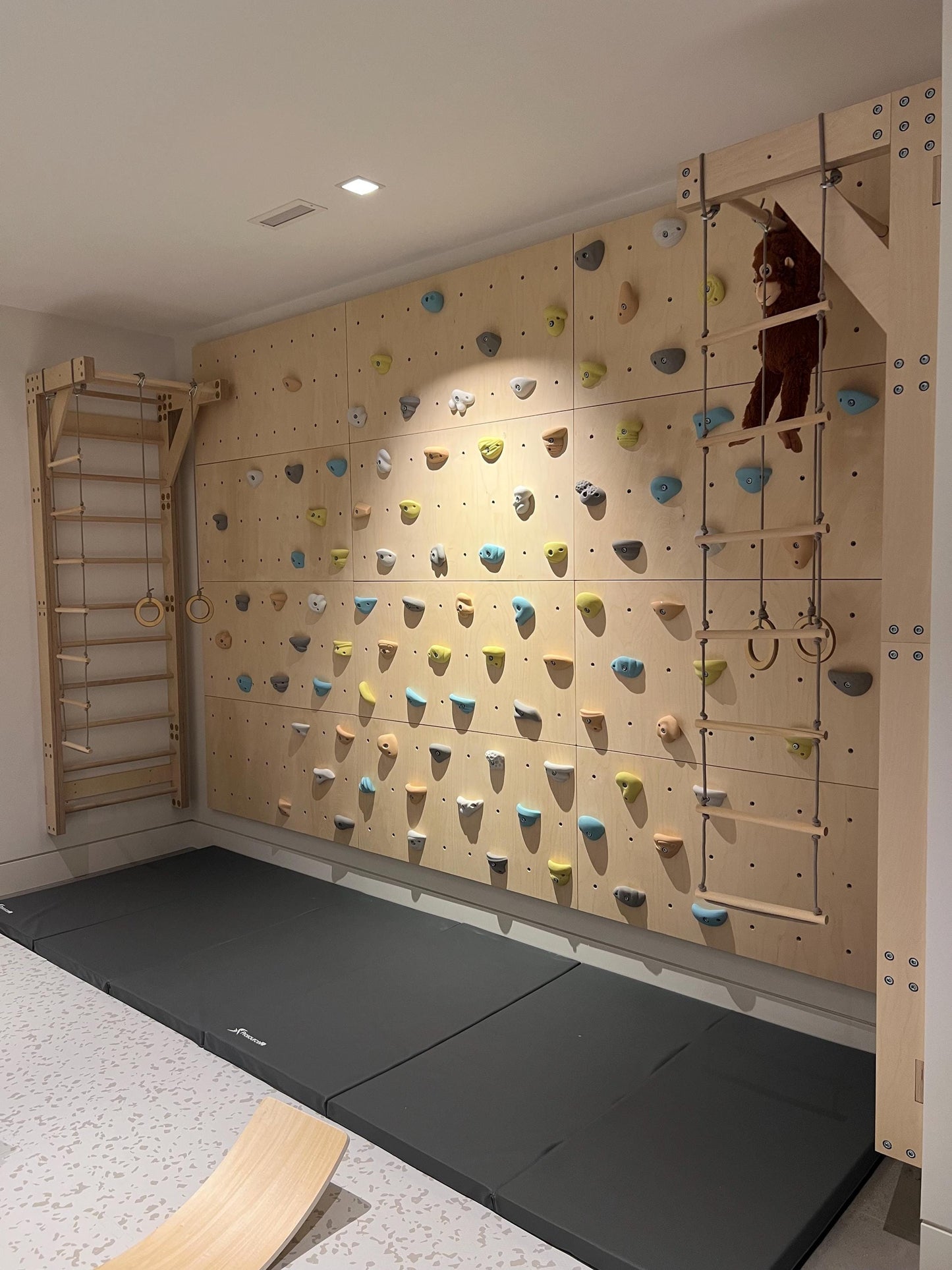 Custom Made Rock Climbing Panels and Swedish Ladder for your home