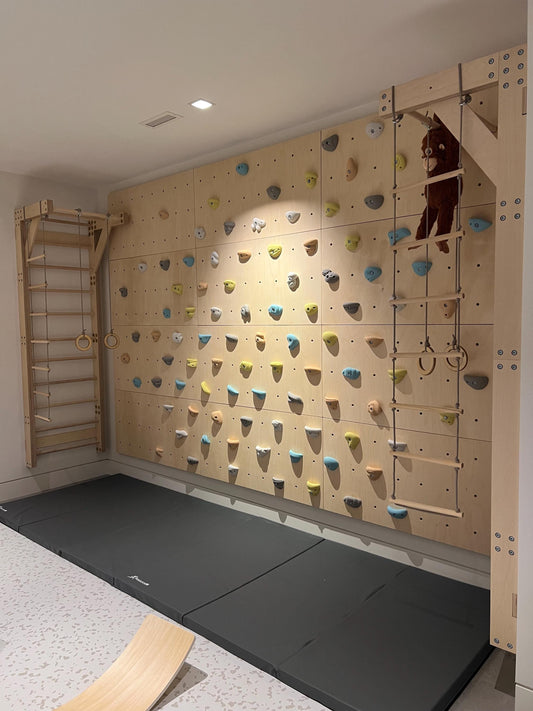 Custom Made Rock Climbing Panels and Swedish Ladder for your home